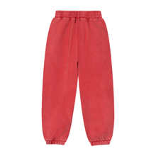 Load image into Gallery viewer, Fleeced Jogger Sweatpants