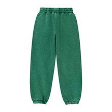 Load image into Gallery viewer, Fleeced Jogger Sweatpants